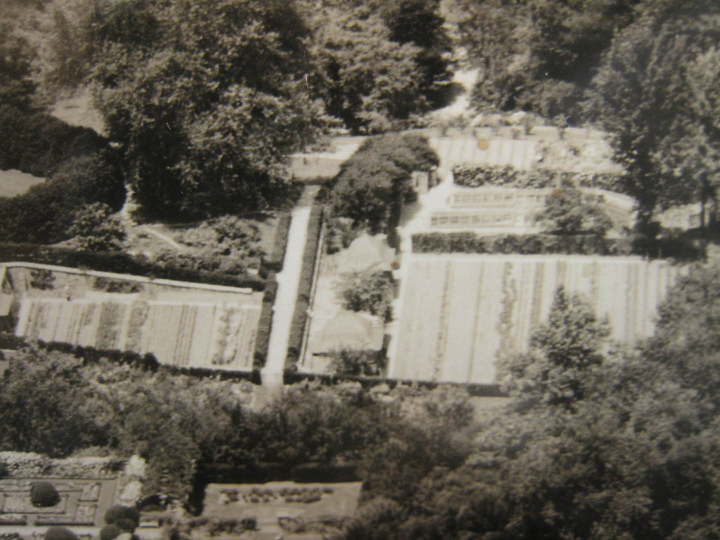 Aerial View of Dumbarton Oaks (1931)